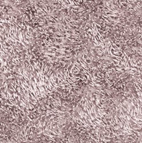Коврик Wasserkraft Kammel BM-8309, напольный, цвет - розовый, 90 х 55 см, Chalk Pink