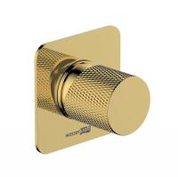 Смеситель для душа Wasserkraft Ems, золото глянцевое, 7651