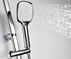 Душевой гарнитур Wasserkraft A042 с верхним душем 30 х 20 см, хром