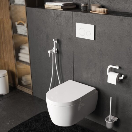 Инсталляция для унитаза Wasserkraft Vils 56TLT.010.ME.WM02, механическая клавиша белая матовая