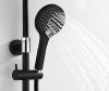 Душевая стойка Wasserkraft A17401, покрытие Soft-touch, черный, хром