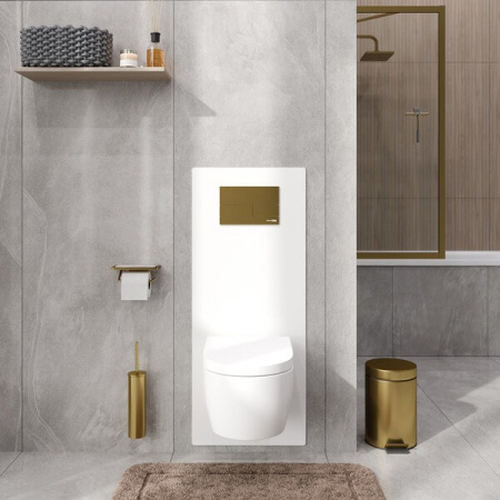 Инсталляция для унитаза Wasserkraft Abens 20TLT.010.ME.WH.MG04, декоративная стеклянная панель белая, механическая кнопка смыва золото матовое