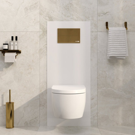 Инсталляция для унитаза Wasserkraft Abens 20TLT.010.ME.WH.PG04, декоративная стеклянная панель белая, механическая кнопка смыва золото глянцевое